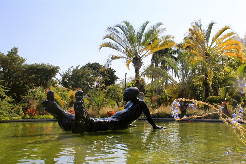 Jardin Botanique de Miami