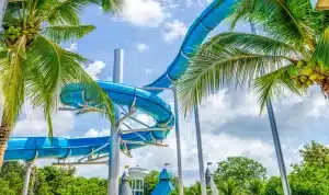 Toboggan bleu dans un parc aquatique tropical à Miami avec palmiers et ciel bleu