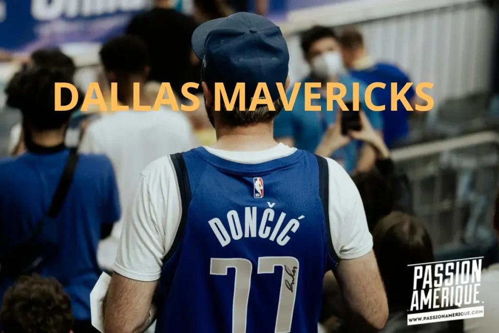 fan des les gradins pendant un match de basketball nba des dallas mavericks