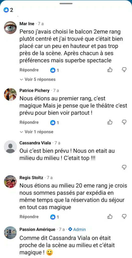 Capture d'écran de témoignages de membres de la communauté Passion Amérique partageant leur avis sur les meilleures places pour voir The Lion King au Minskoff Theatre à Broadway.